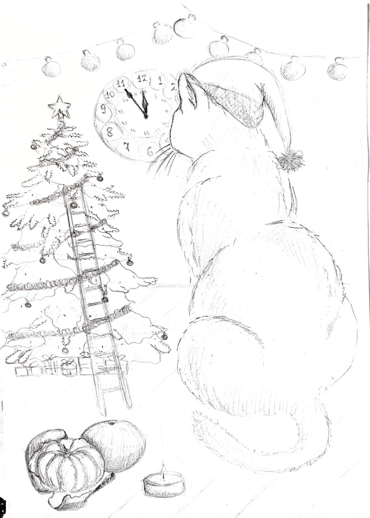 Лосева Кристина 14 лет - Все ждут чудес....jpg