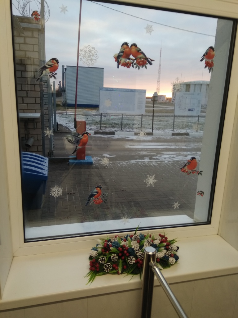 ЛПДС Дисна Служба безопасности..jpg